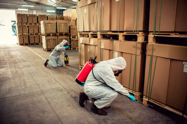Best Cockroach Control Services  in Fox Chase, PA