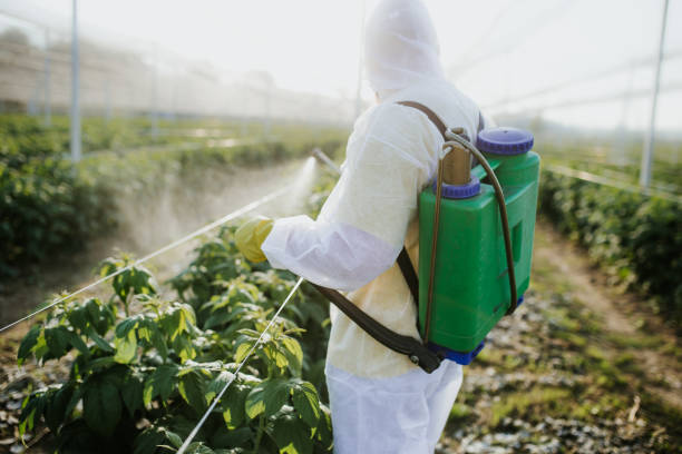 Best Pest Removal Services  in Fox Chase, PA